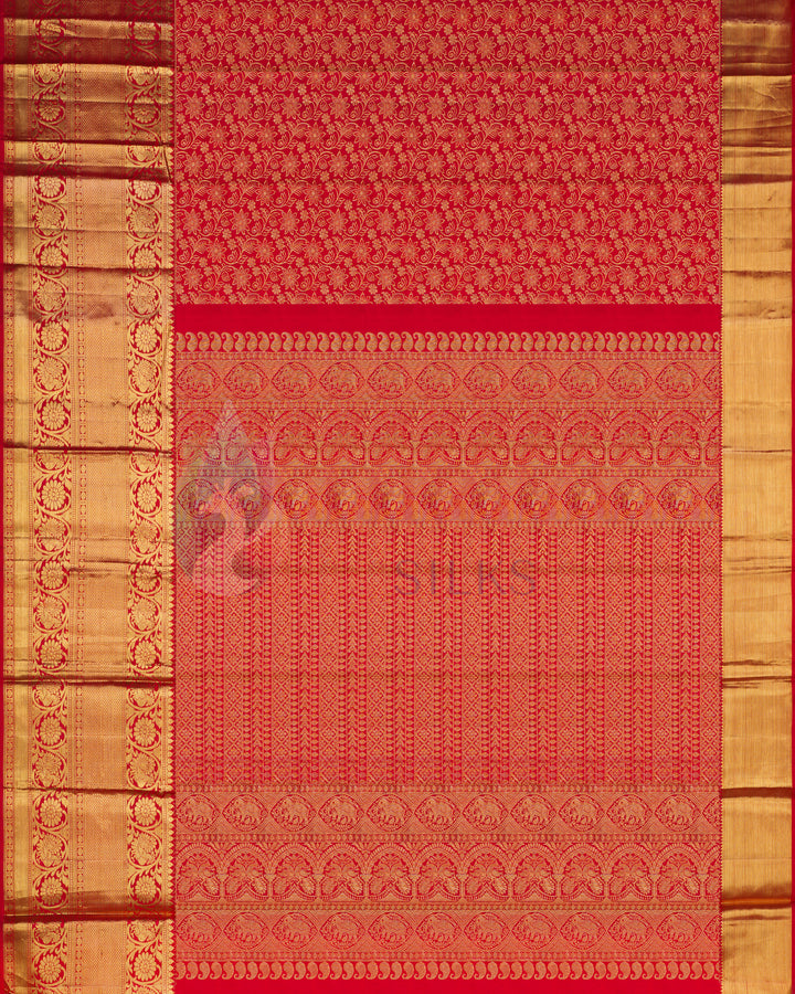 Full view of red Kanjivaram silk saree with heavy golden zari work and rich border