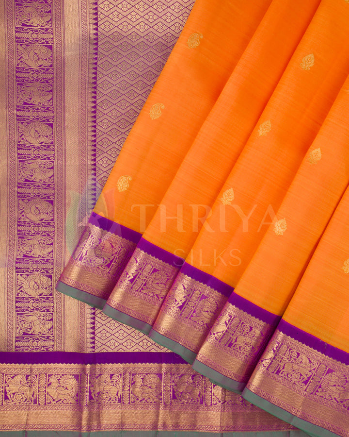 Pleats view of orange silk saree with golden buttas and purple border in rich gold zari