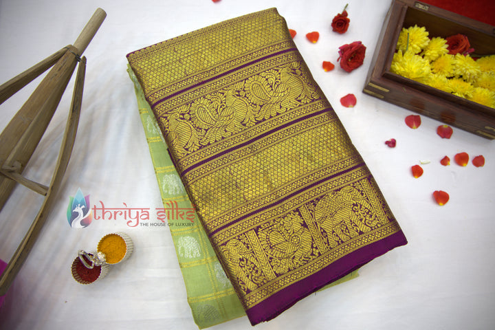 Pista Green with Dark Purple Border Pure Zari Kanchipuram Silk Saree - TSW0803