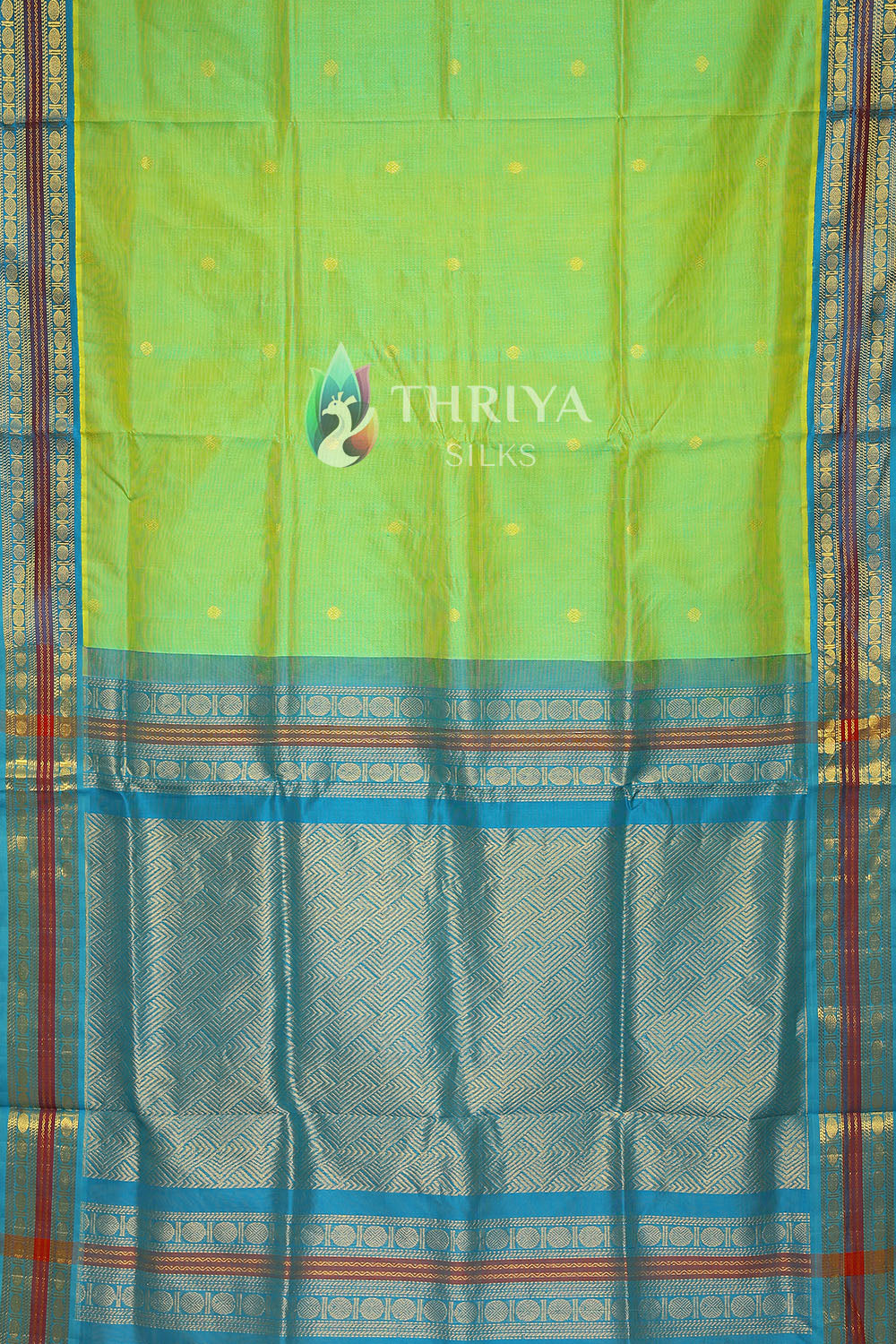 Silk Cotton Saree in Light Green and Sky Blue - TSKB040503 - View 3