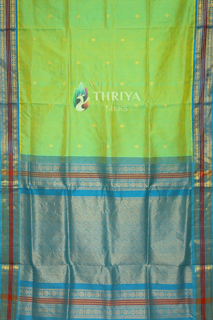 Silk Cotton Saree in Light Green and Sky Blue - TSKB040503 - View 3