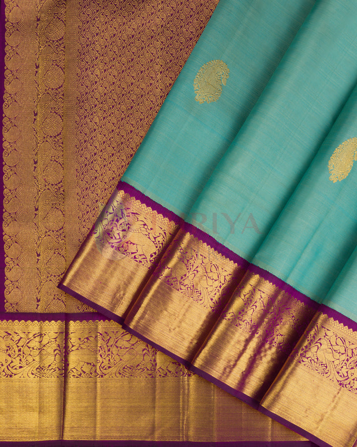 Light Sky Blue Kanchipuram Silk Saree - TSPQ200704