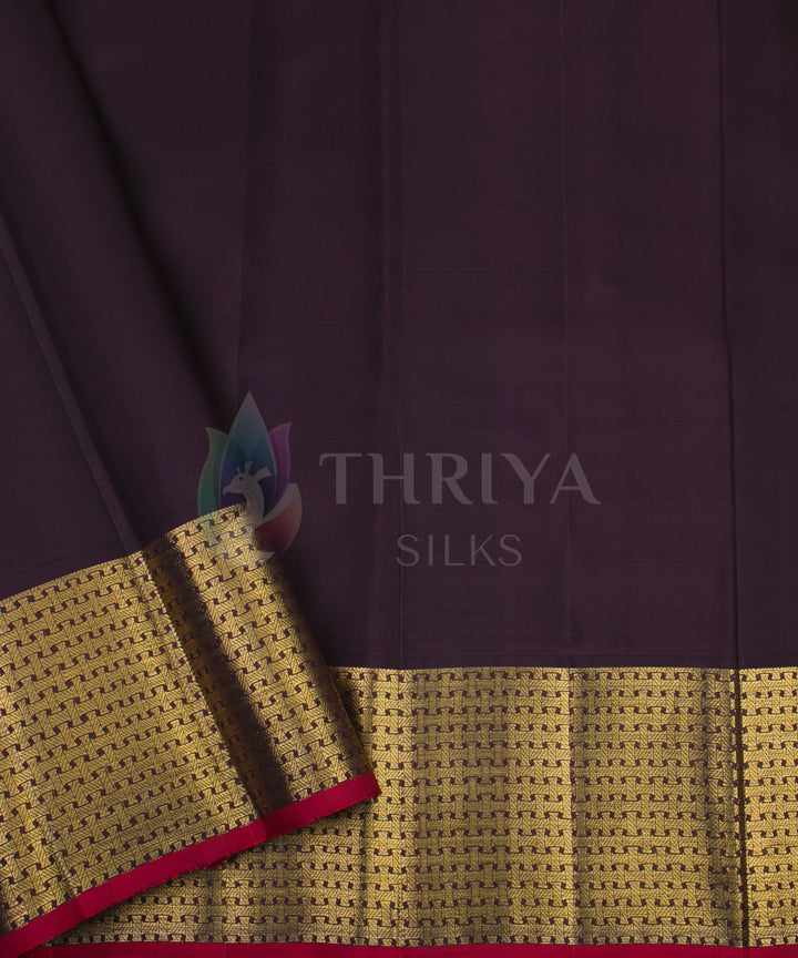 Light Sky Blue with Dark Burgundy Kanchipuram Silk Saree -TSW020831 - View 5