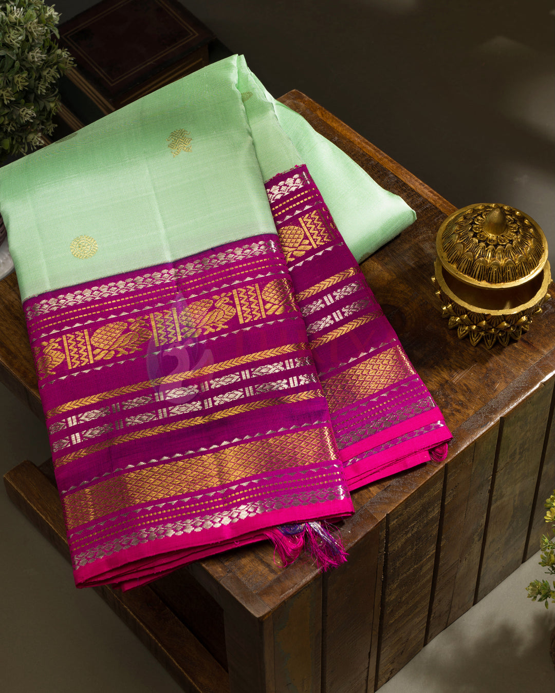 Pastel Green Kanchipuram Silk Saree - TSPQ11087