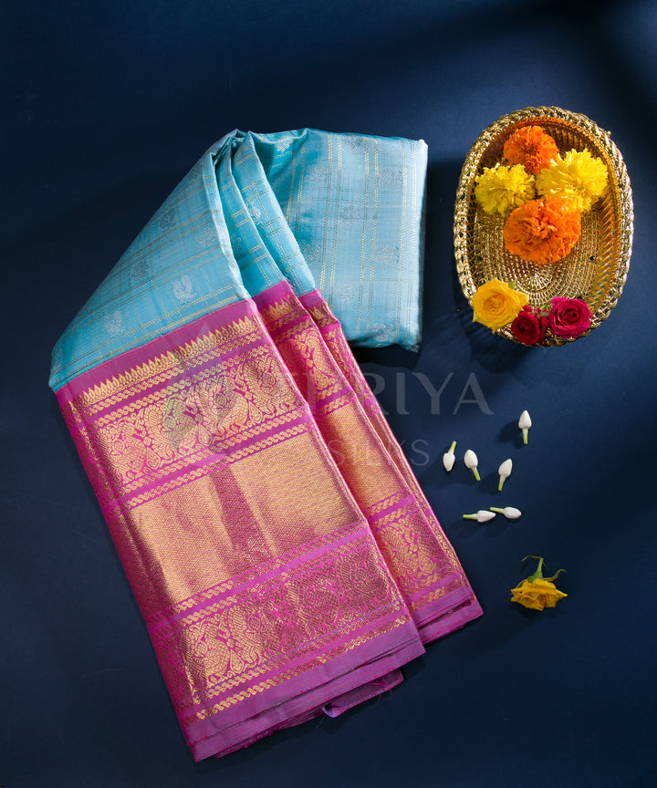 Light Sky Blue with Pink Kanchipuram Silk Saree - TSW1228 - View 1