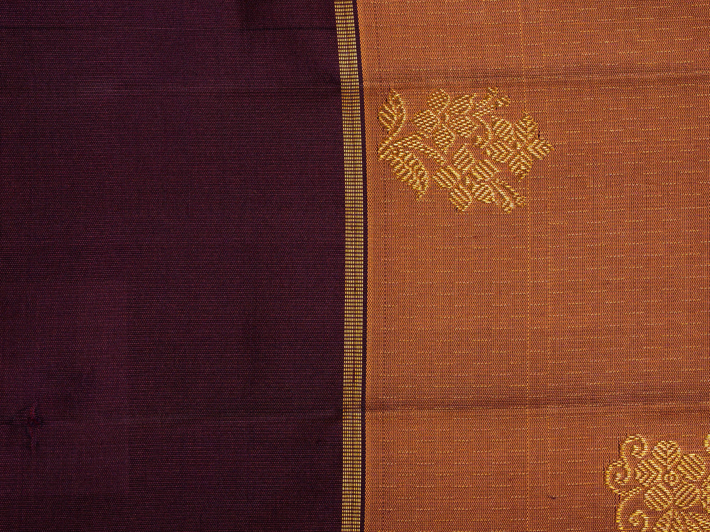 Brown and Violet Kanchipuram Silk Saree - TSW0816 - View 2