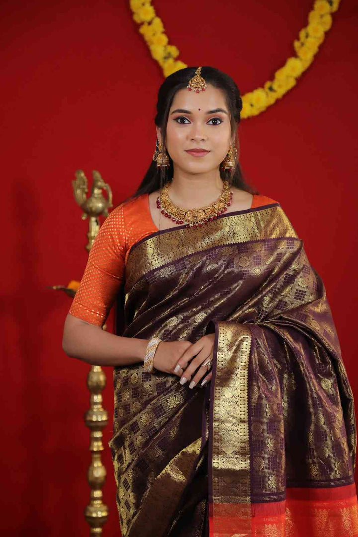 Brown Kanchipuram Silk Saree - TSW040901