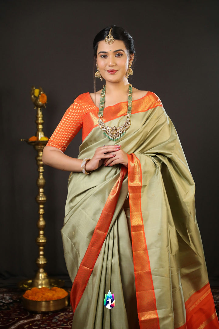 Pista Green Kanchipuram Saree -TS290901
