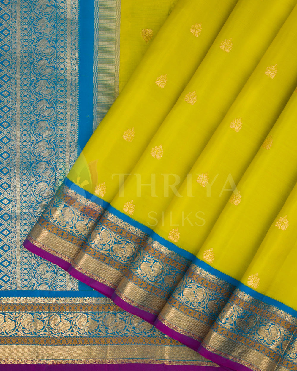 Lime yellow silk saree with royal blue border and gold zari pleats by Thriya Silks